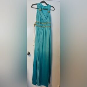 Aphrodite/Goddess Halloween Costume Size Large (12/14)